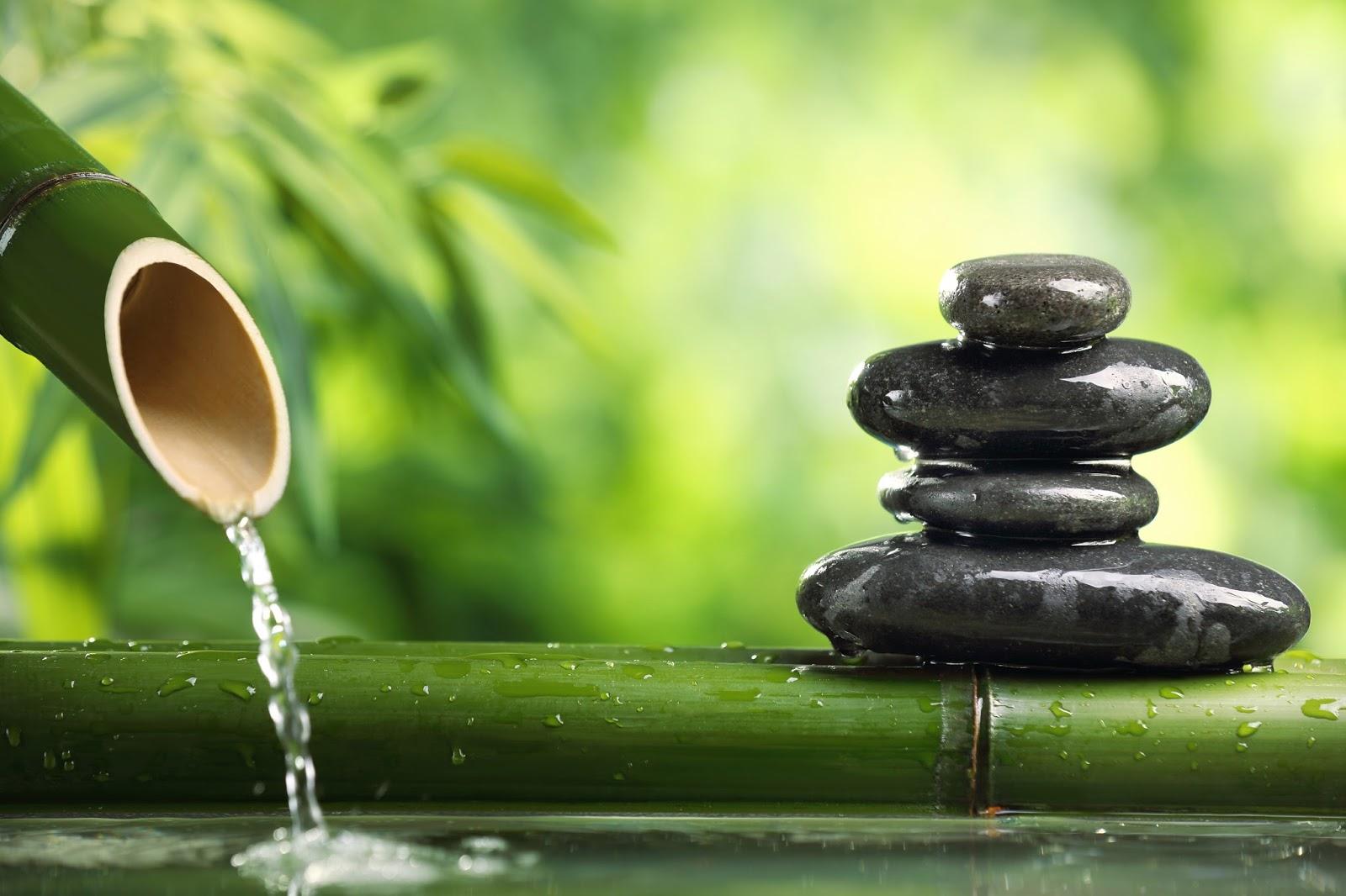 Zen pierre bambou 1